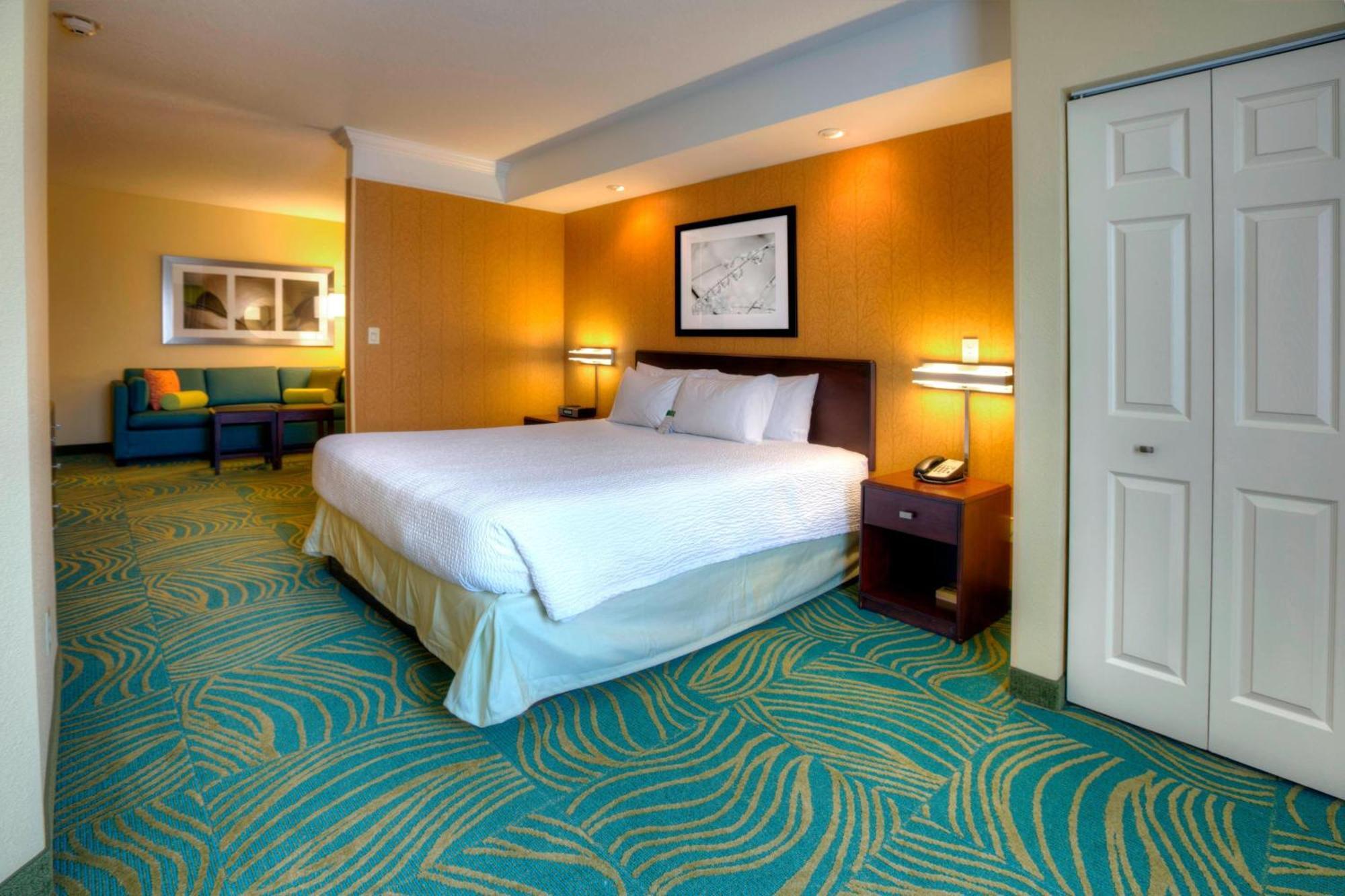 Springhill Suites By Marriott - Tampa Brandon Heartland Esterno foto